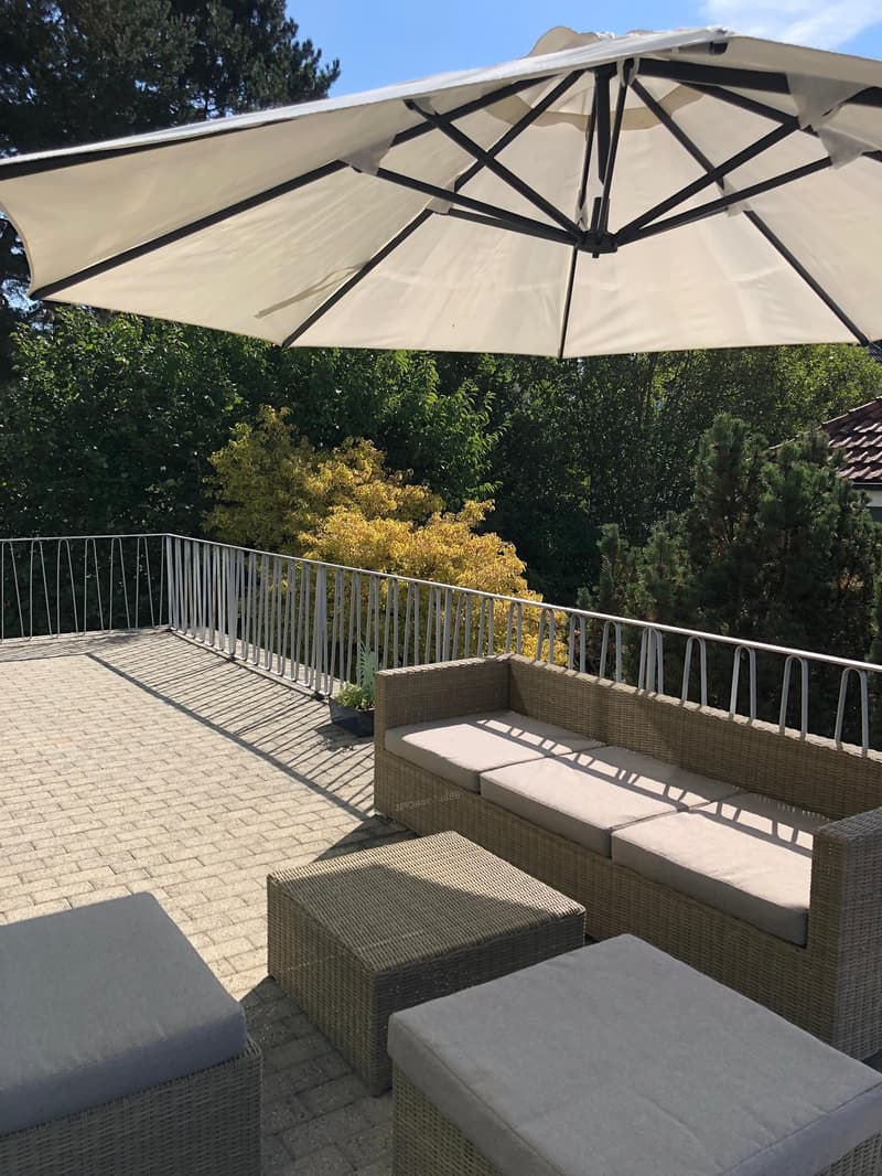 2.5-Zimmer-Wg mit grosser Süd-Terrasse + Gästehaus. Option: Mehrgenerationen-Haus (2)
