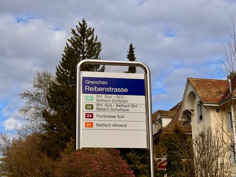 2.5-Zimmer-Wg mit grosser Süd-Terrasse + Gästehaus. Option: Mehrgenerationen-Haus (9)