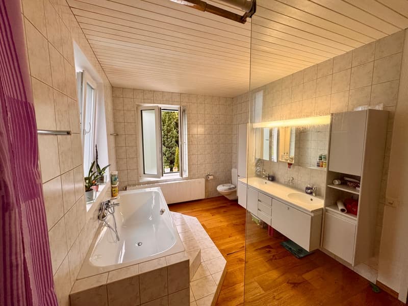 2.5-Zimmer-Wg mit grosser Süd-Terrasse + Gästehaus. Option: Mehrgenerationen-Haus (3)