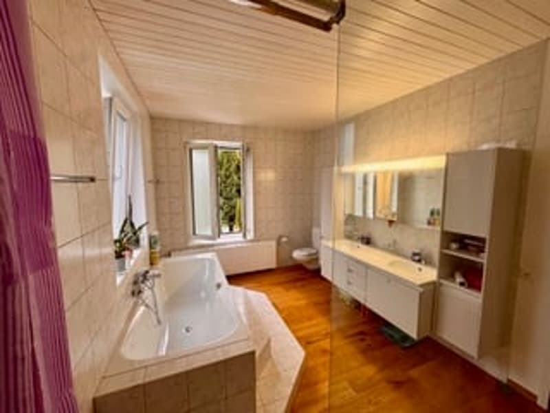 2.5-Zimmer-Wg mit grosser Süd-Terrasse + Gästehaus. Option: Mehrgenerationen-Haus (10)