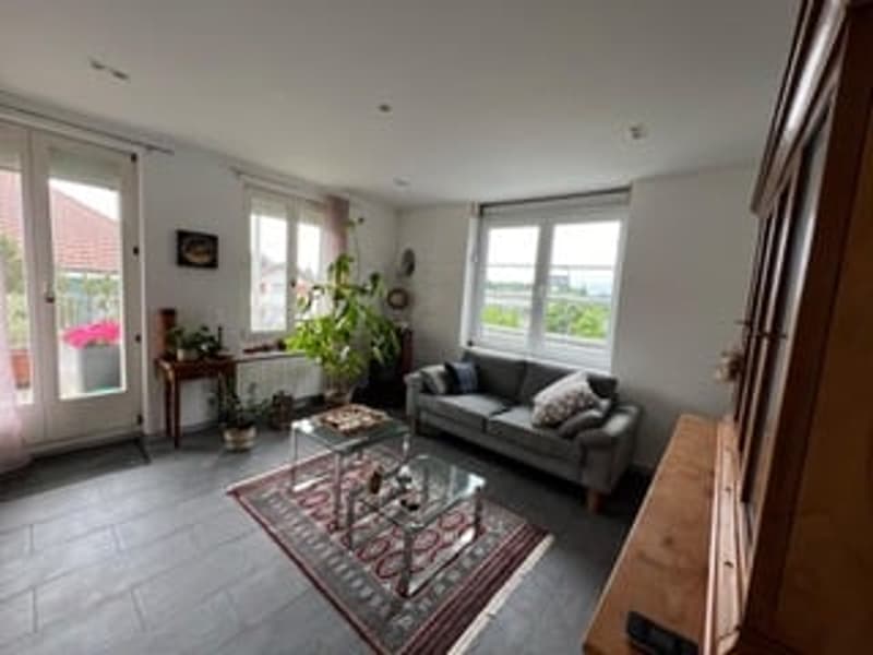 2.5-Zimmer-Wg mit grosser Süd-Terrasse + Gästehaus. Option: Mehrgenerationen-Haus (12)