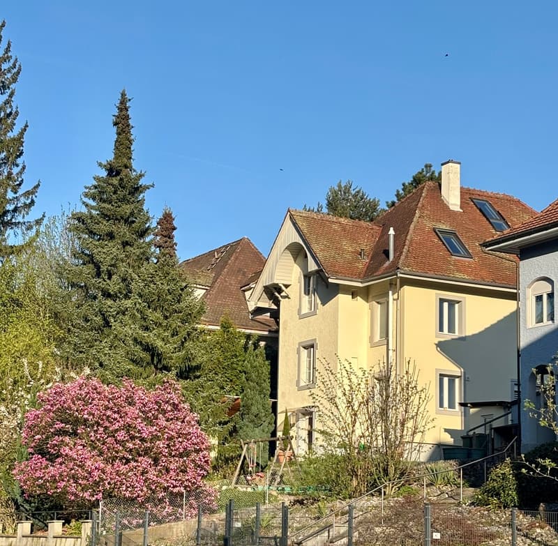 2.5-Zimmer-Wg mit grosser Süd-Terrasse + Gästehaus. Option: Mehrgenerationen-Haus (7)