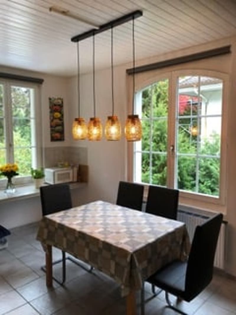 2.5-Zimmer-Wg mit grosser Süd-Terrasse + Gästehaus. Option: Mehrgenerationen-Haus (11)
