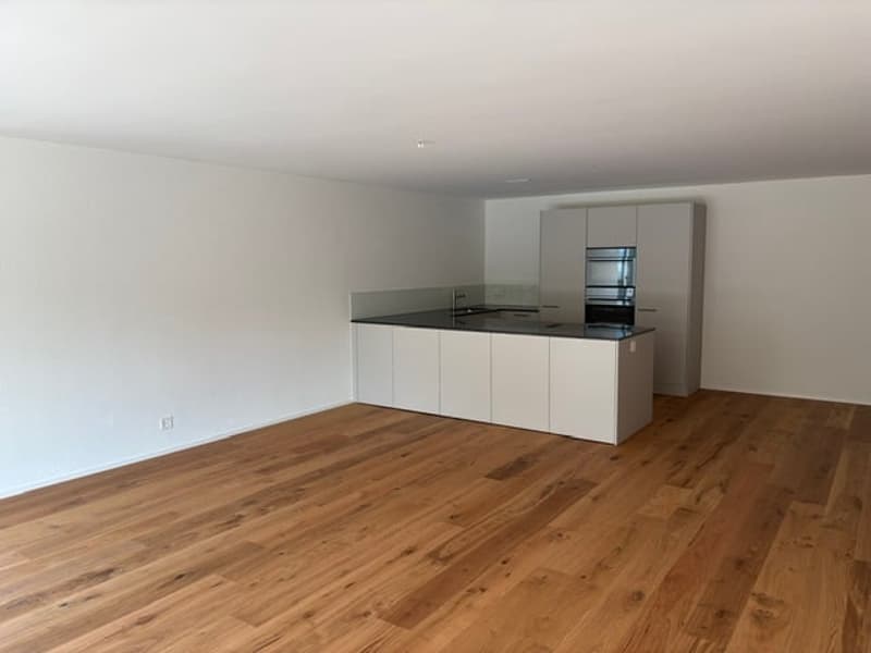 Moderne Neubau-2.5-Zimmer-Eigentumswohnung (4)