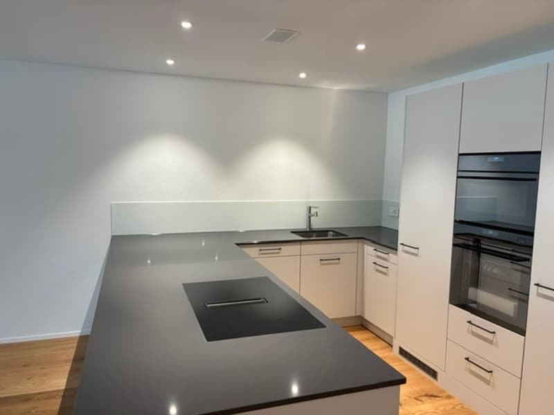 Moderne Neubau-2.5-Zimmer-Eigentumswohnung (2)