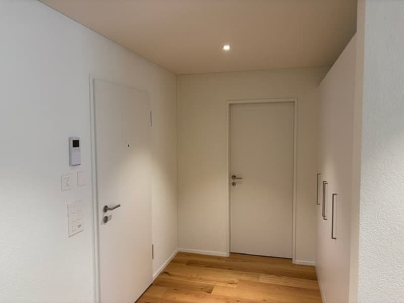 Moderne Neubau-2.5-Zimmer-Eigentumswohnung (6)