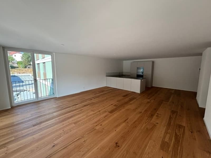 Moderne Neubau-2.5-Zimmer-Eigentumswohnung (5)