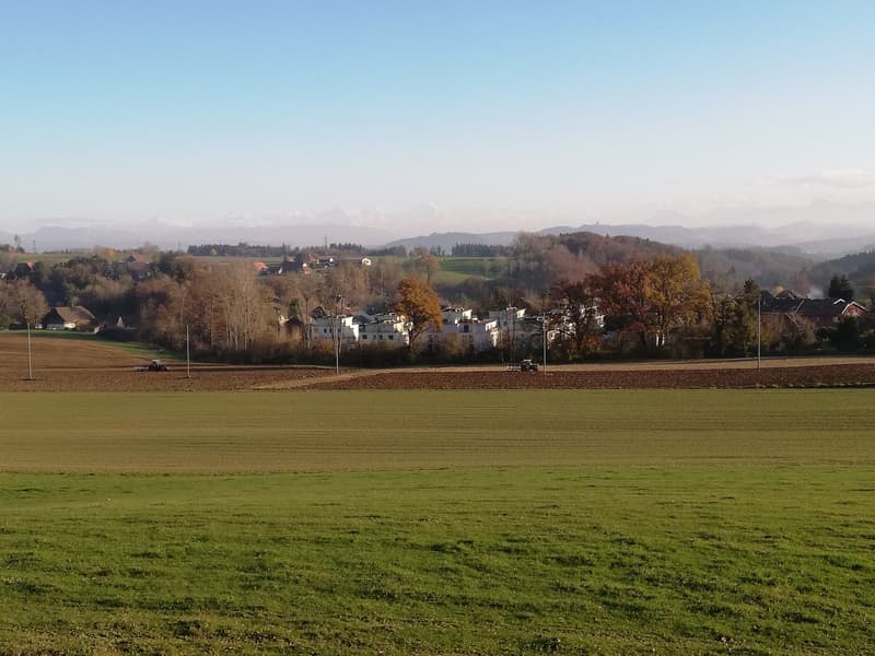 Wohnvergnügen mit Alpensicht im Rösslihof (11)
