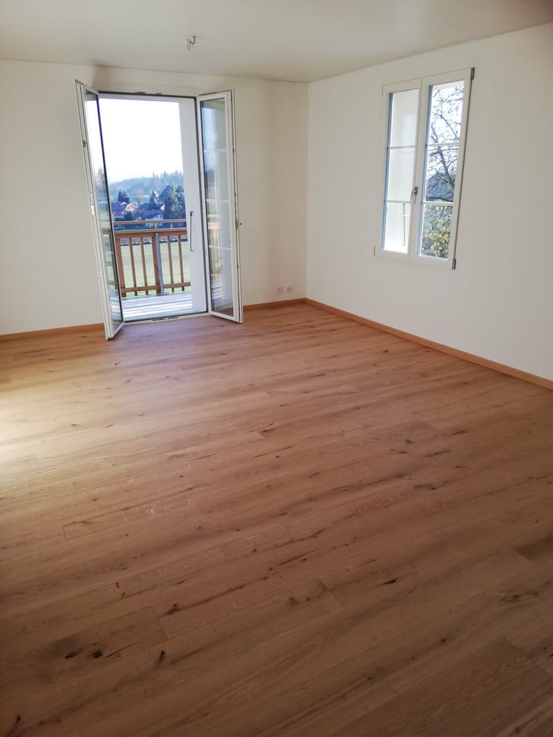 Wohnvergnügen mit Alpensicht im Rösslihof (10)