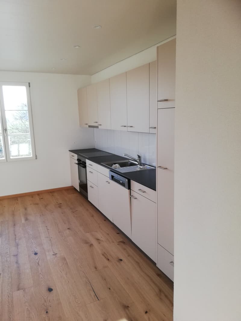 Wohnvergnügen mit Alpensicht im Rösslihof (2)