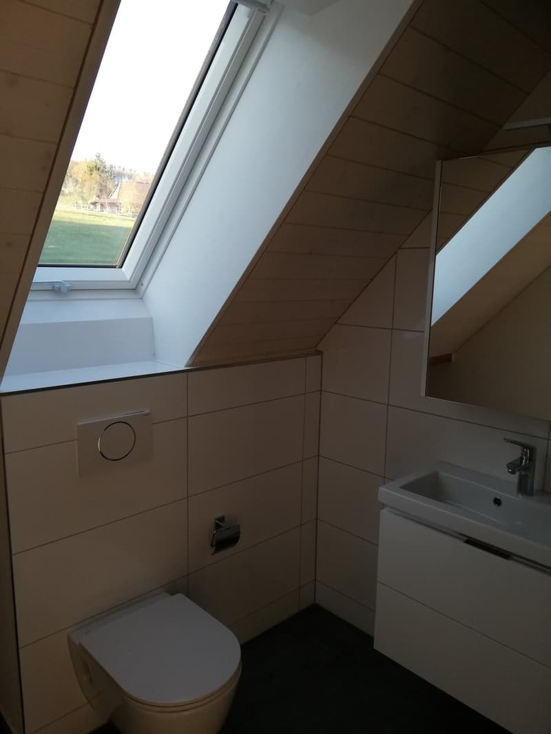 Wohnvergnügen mit Alpensicht im Rösslihof (7)