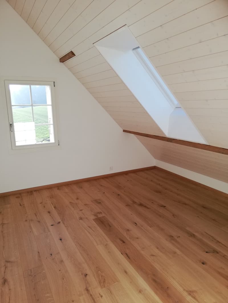 Wohnvergnügen mit Alpensicht im Rösslihof (3)