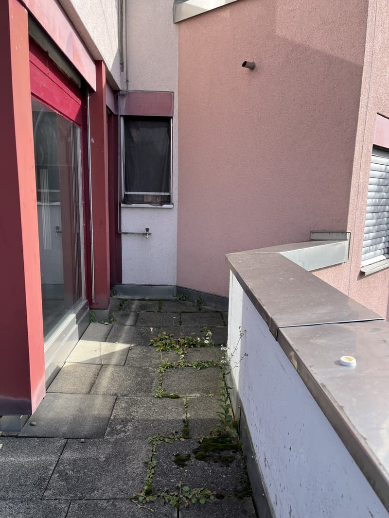 Zentrale, Ruhige, Wohnung mit 100m2 Dachterrasse (6)