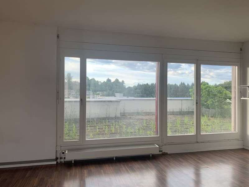 Zentrale, Ruhige, Wohnung mit 100m2 Dachterrasse (3)