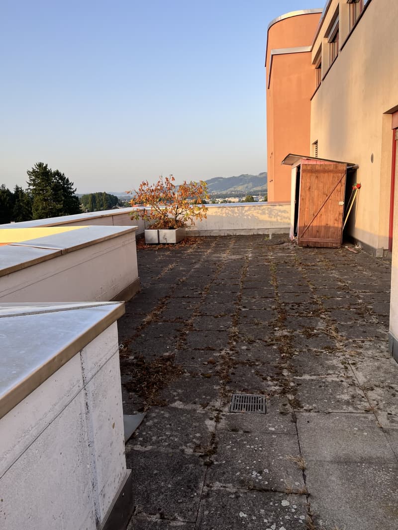 Zentrale, Ruhige, Wohnung mit 100m2 Dachterrasse (7)