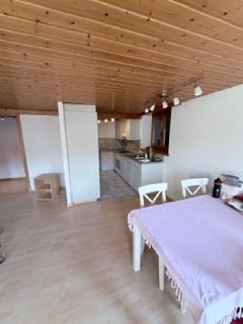 Gemütliche 3.5-Zimmer-Wohnung in Schleitheim – sofort verfügbar! (6)