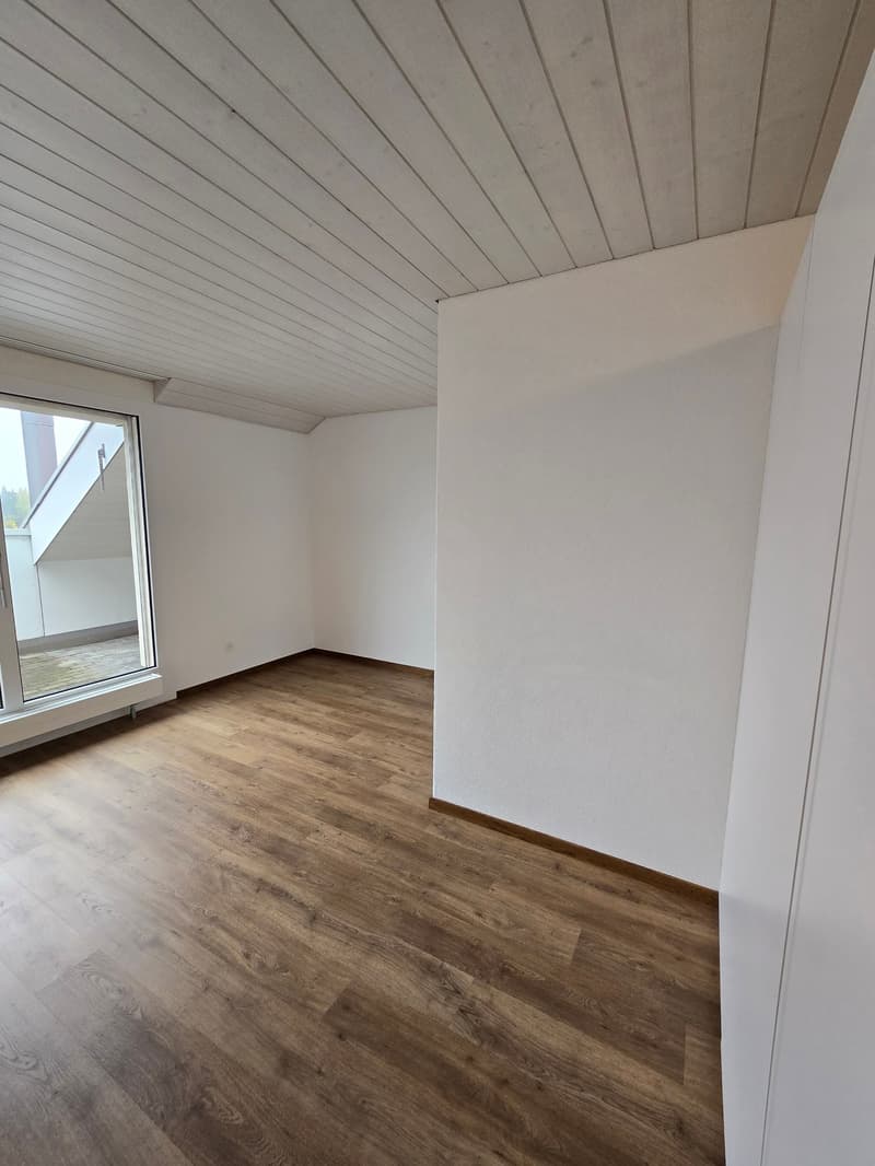 Sehr schöne, neu renovierte 3 1/2 Zimmer-Wohnung (7)