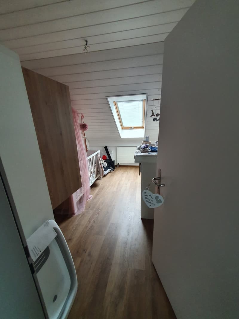 Sehr schöne, neu renovierte 3 1/2 Zimmer-Wohnung (10)