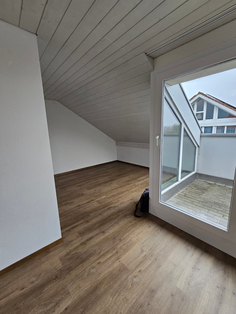 Sehr schöne, neu renovierte 3 1/2 Zimmer-Wohnung (6)