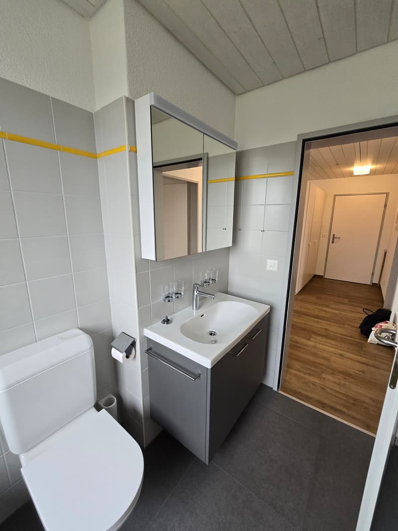 Sehr schöne, neu renovierte 3 1/2 Zimmer-Wohnung (2)
