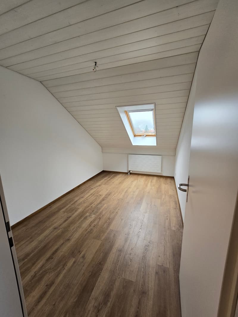 Sehr schöne, neu renovierte 3 1/2 Zimmer-Wohnung (9)