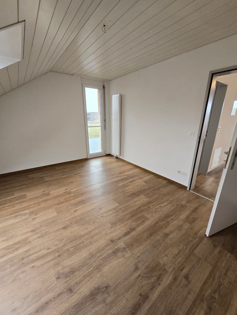Sehr schöne, neu renovierte 3 1/2 Zimmer-Wohnung (8)