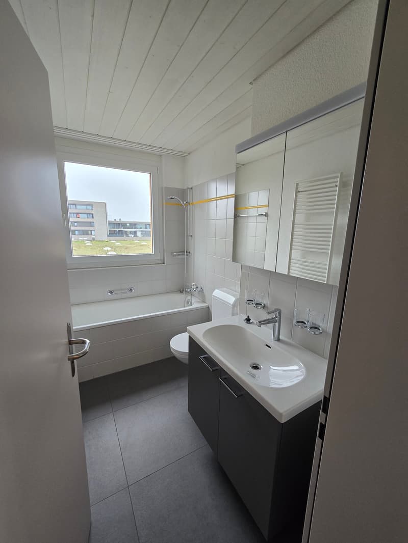 Sehr schöne, neu renovierte 3 1/2 Zimmer-Wohnung (3)