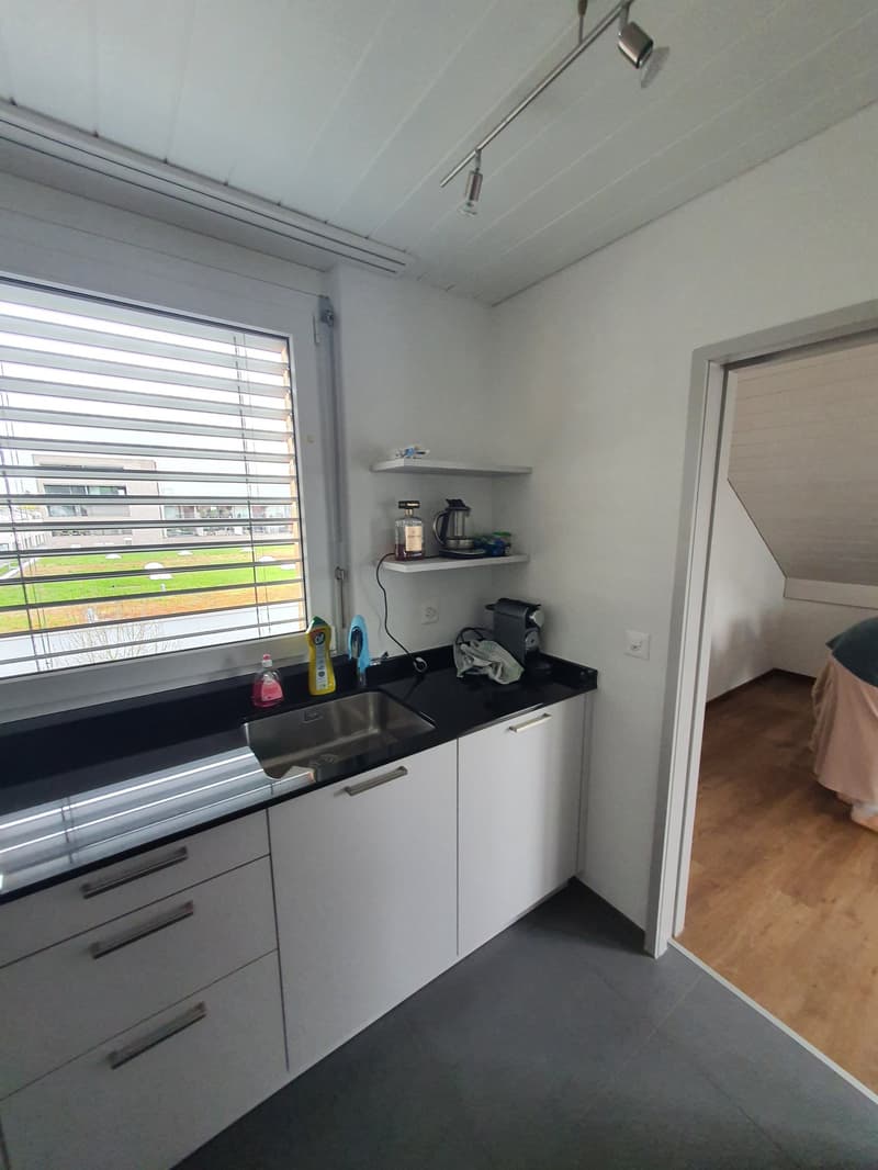 Sehr schöne, neu renovierte 3 1/2 Zimmer-Wohnung (4)