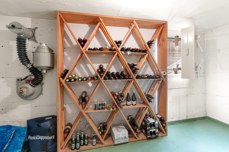 Charmantes Einfamilienhaus in Appenzell – 6.5 Zimmer mit Aussicht und Doppelgarage (3)