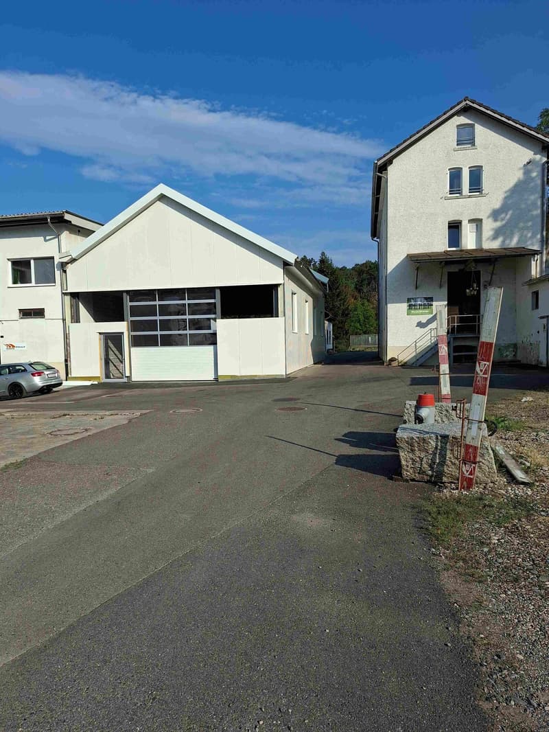Gewerbe-/Industrieobjekt zur Miete in Bülach (1)
