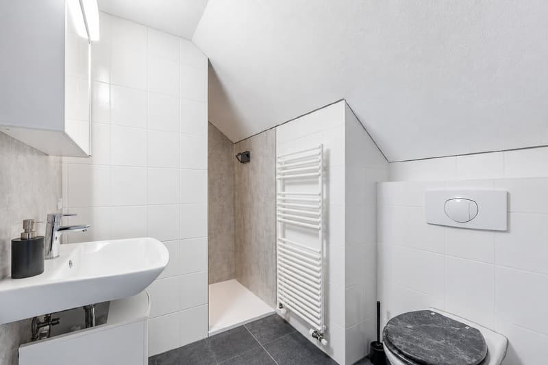 Lichtdurchflutete 4.5-Zimmer-Attika-Maisonette mit Tiefgaragenplatz, St. Gallen (12)