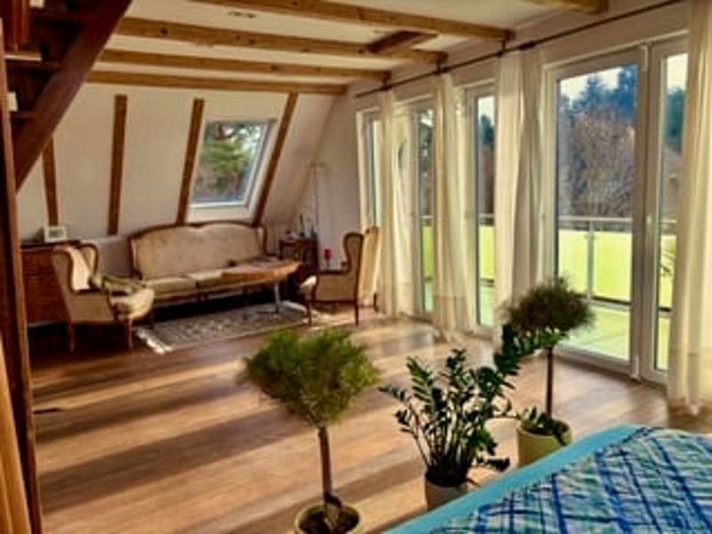 3.5-Zimmer Attika - Penthouse + Gästehaus. Option: Mehrgenerationen-Haus (1)