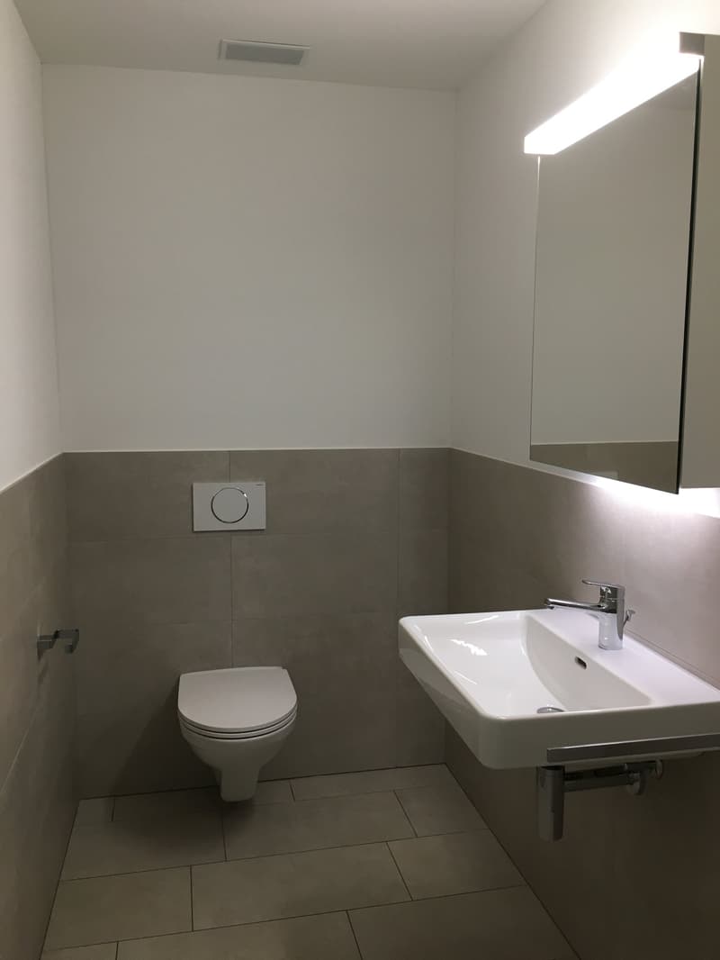 Grosse 3 1/2 Zimmerwohnung mit traumhafter Aussicht (4)
