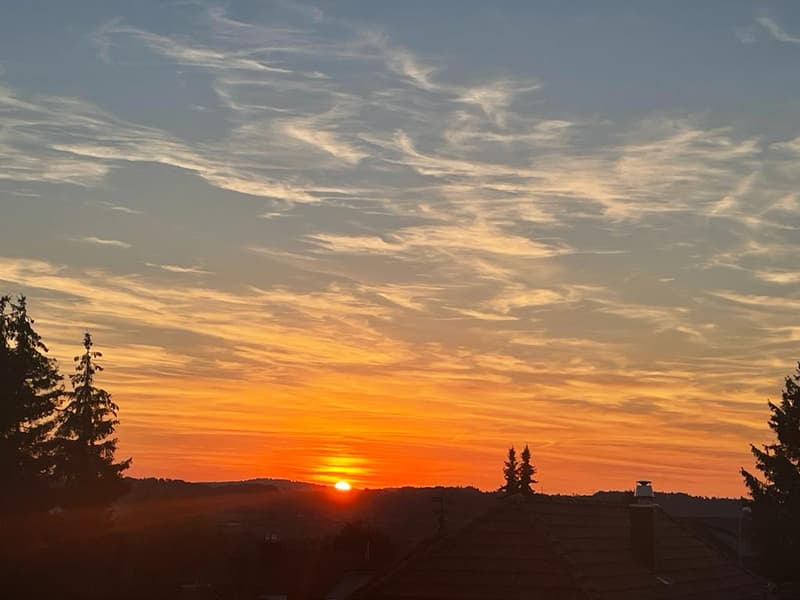 Grosse 3 1/2 Zimmerwohnung mit traumhafter Aussicht (6)