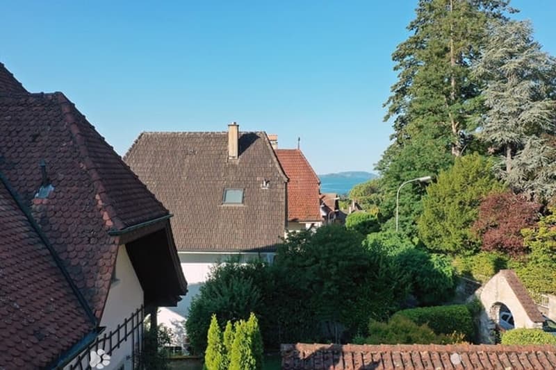Helle 3.5 Zi.-Wohnung mit Seesicht & grossem Balkon (4)