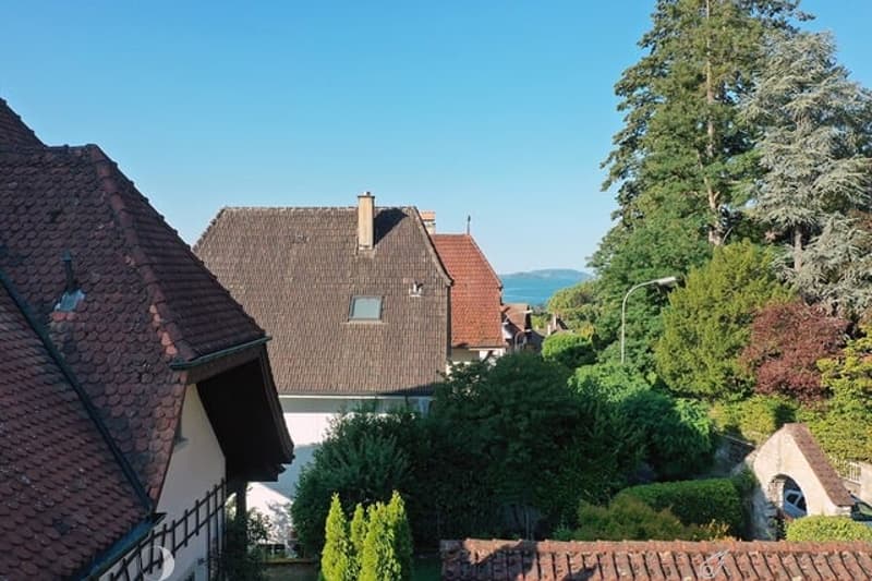 Helle 3.5 Zi.-Wohnung mit Seesicht & grossem Balkon (4)