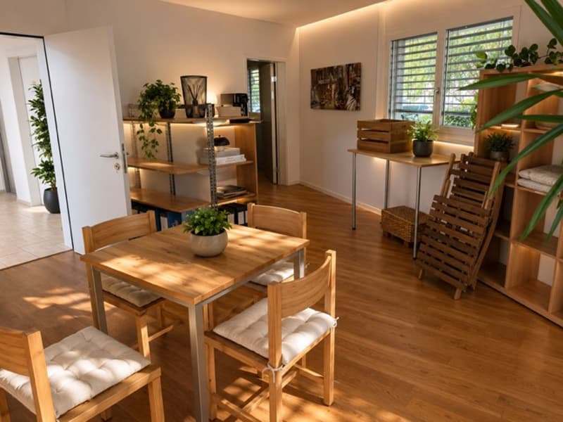 !!! Büro oder Praxis !!! Beste Lage!!! Neubau!!! Im Zentrum von Reinach!!! (4)