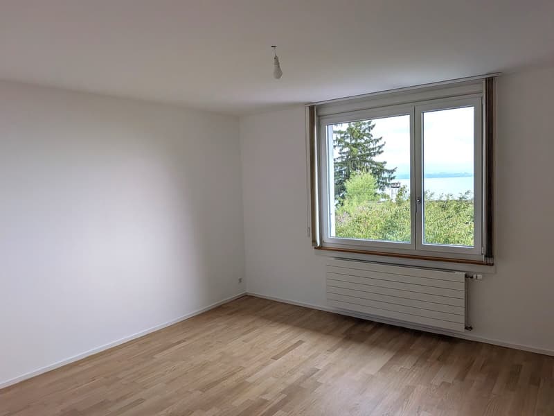 Grand duplex 6.5 pièces avec vue panoramique sur le lac et les Alpes, jardin privé (4)