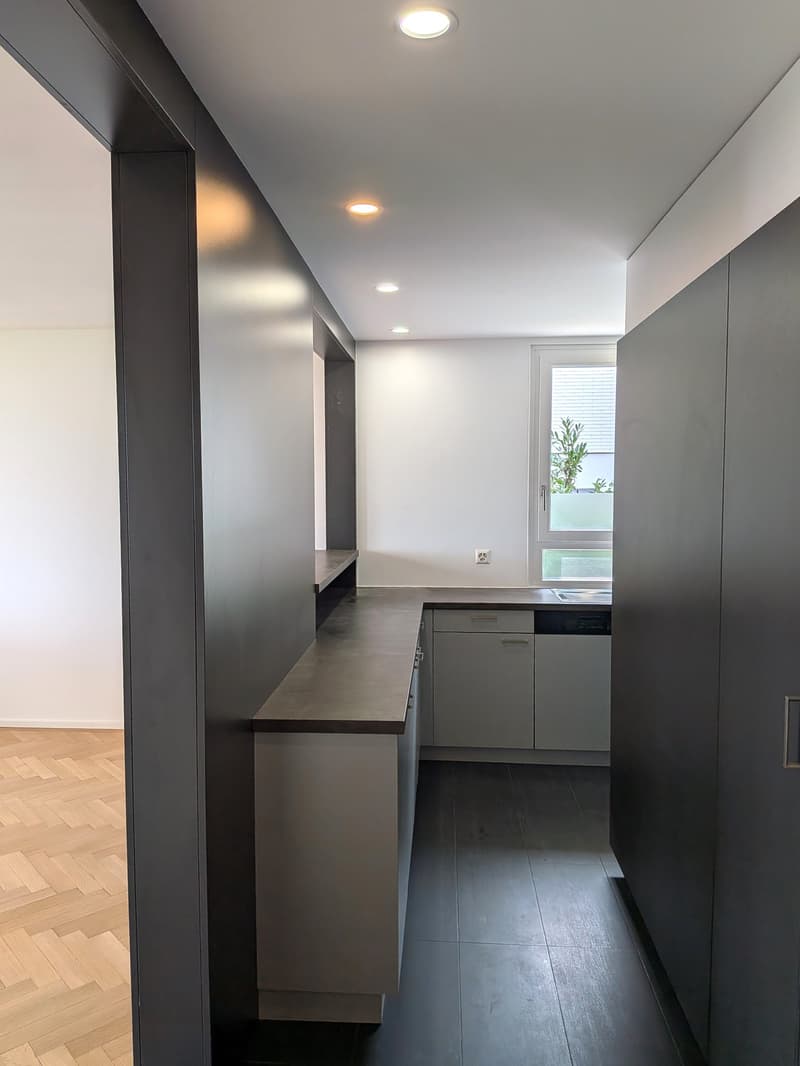 Grand duplex 6.5 pièces avec vue panoramique sur le lac et les Alpes, jardin privé (5)
