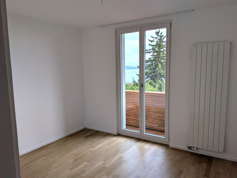 Grand duplex 6.5 pièces avec vue panoramique sur le lac et les Alpes, jardin privé (9)
