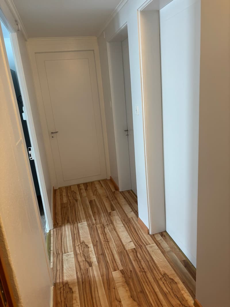 Charmante 4-Zimmer-Altbauwohnung mit Balkon und Garage in Zentrum von Einsiedeln (10)