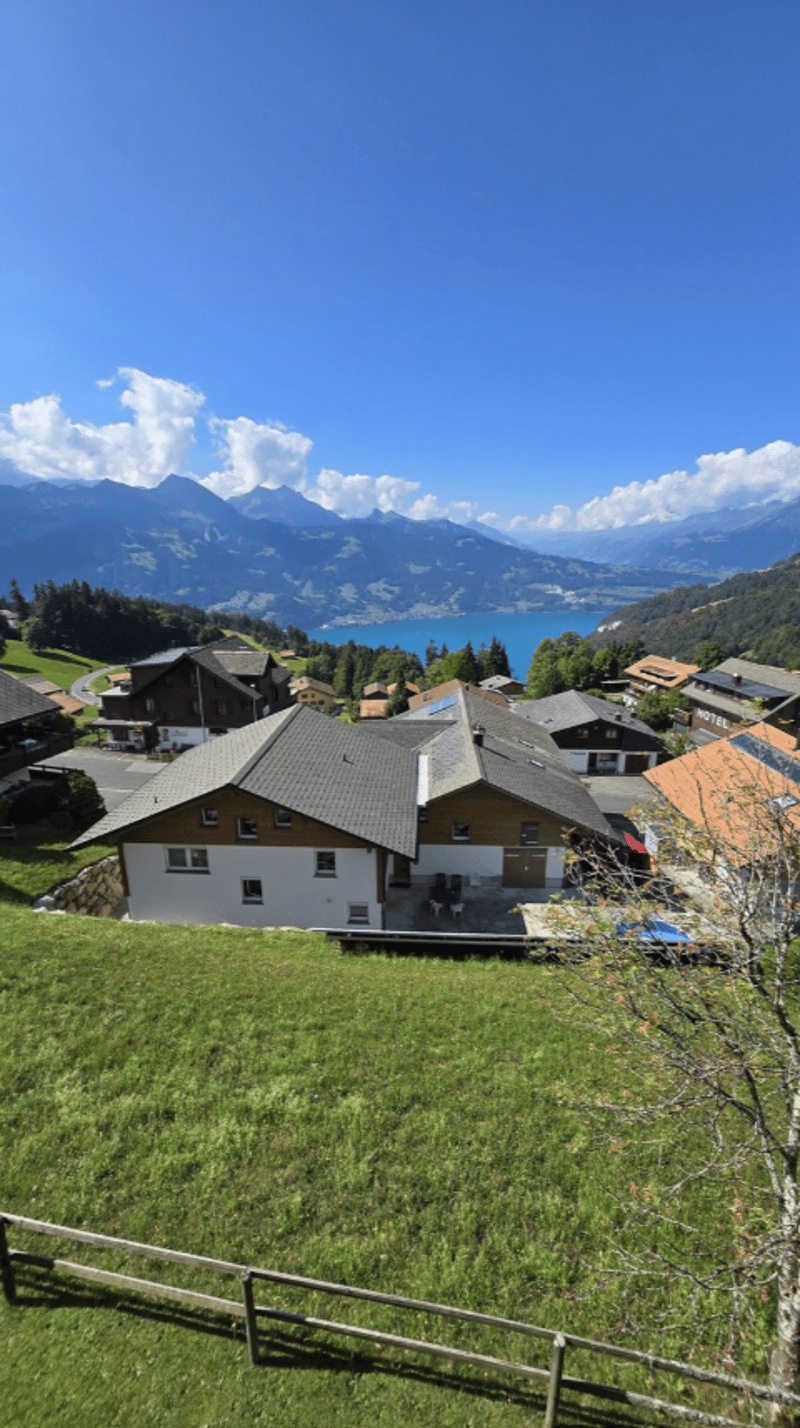Grosszügige 3-Zimmer-Wohnung mit traumhafter See- und Bergsicht (22)