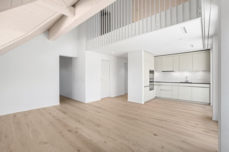 Erstbezug: Stilvolle und grosszügige Maisonette-Wohnung (1)
