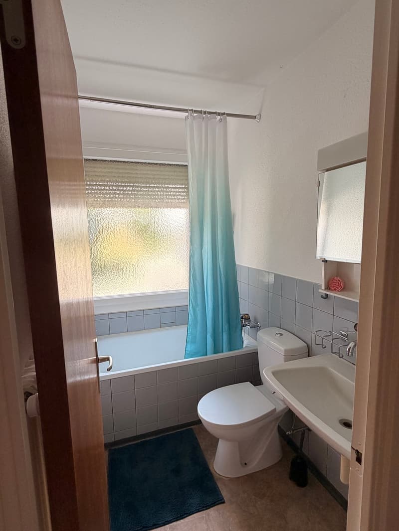 Helle 1-Zimmerwohnung im Hochparterre in Tann-Rüti (3)