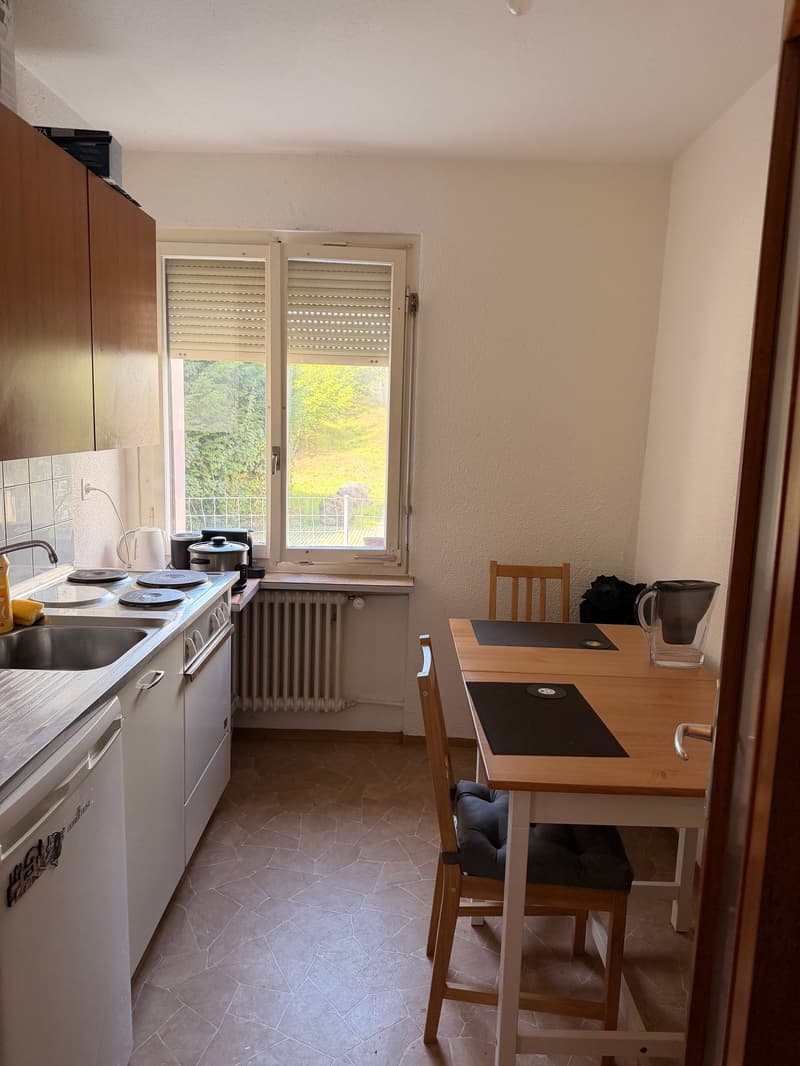 Helle 1-Zimmerwohnung im Hochparterre in Tann-Rüti (2)