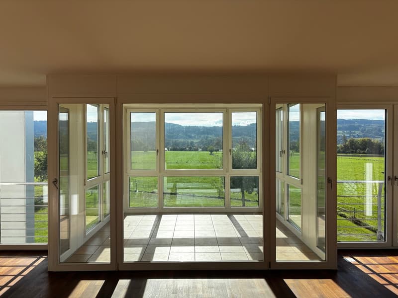 Wunderschöne, grosszügige 4.5-Zimmer-Wohnung mit See- und Panoramasicht (18)