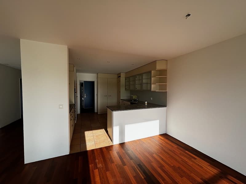 Wunderschöne, grosszügige 4.5-Zimmer-Wohnung mit See- und Panoramasicht (12)