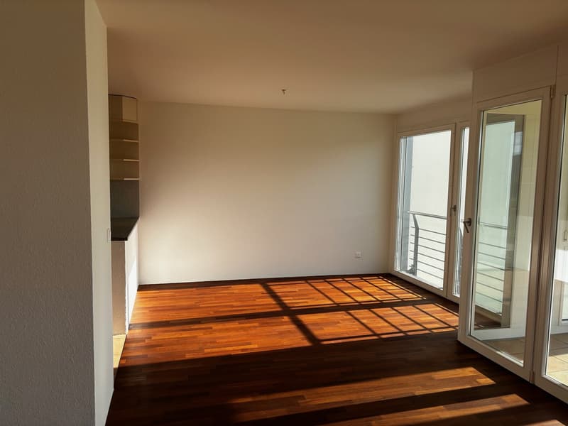 Wunderschöne, grosszügige 4.5-Zimmer-Wohnung mit See- und Panoramasicht (19)