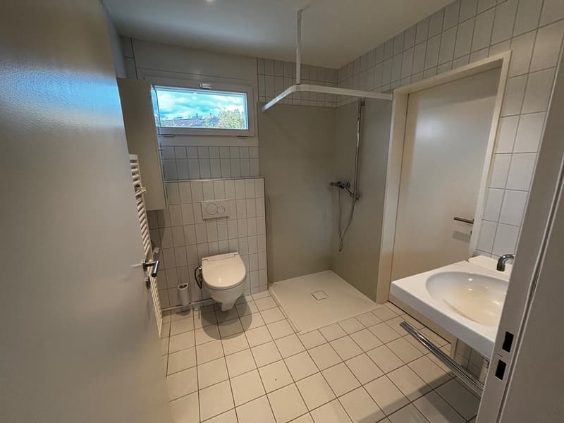 Wunderschöne, grosszügige 4.5-Zimmer-Wohnung mit See- und Panoramasicht (22)