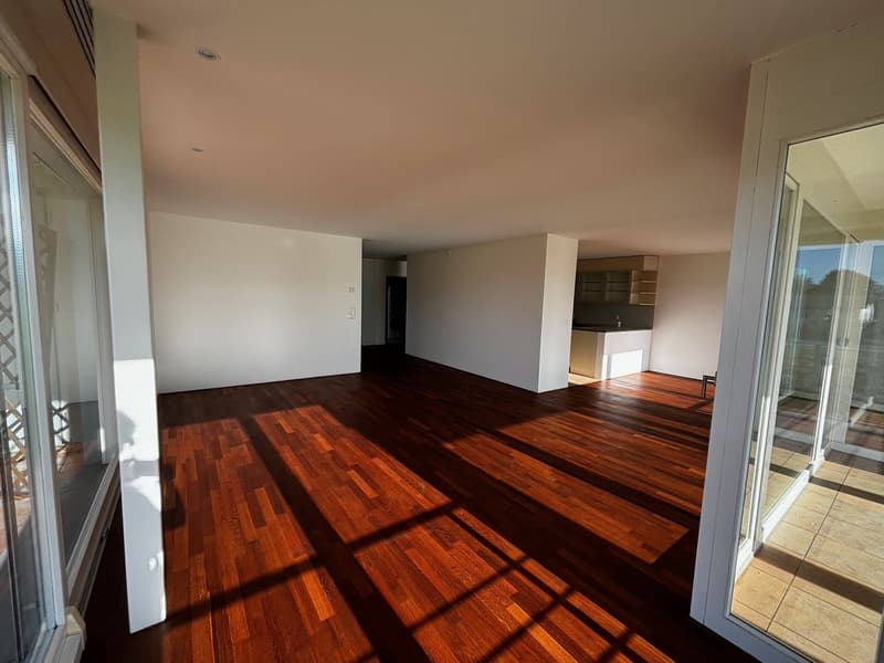 Wunderschöne, grosszügige 4.5-Zimmer-Wohnung mit See- und Panoramasicht (17)